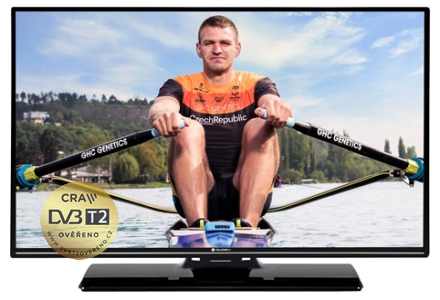 43″ Gogen TVF 43P525T