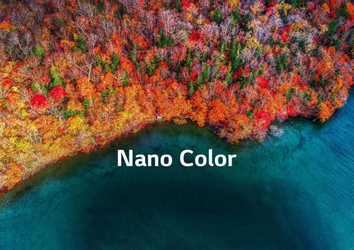 NanoColor